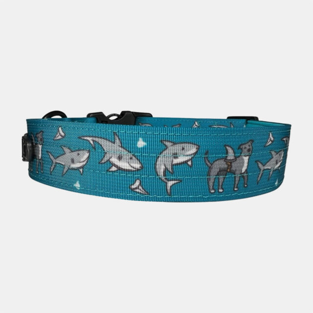 Pittie Shark 1.5" Wide Padded Buckle Collar - Image 4