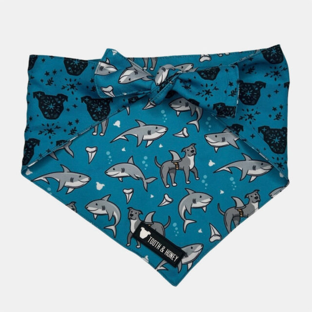 Pittie Shark Reversible Bandana