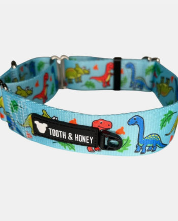 Dinosaur-Martingale-Collar-1