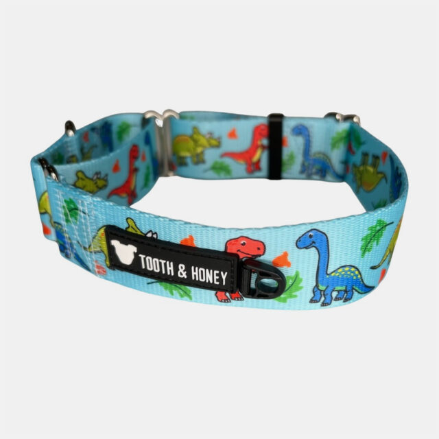 Dinosaur Martingale Collar - Image 2
