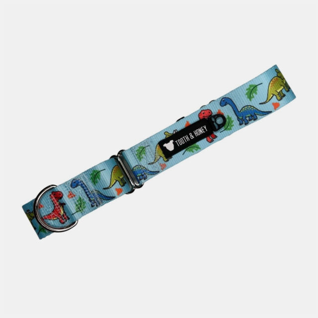 Dinosaur Martingale Collar