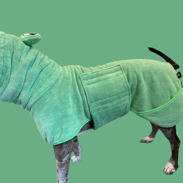 Froggy Dog Bathrobe - Image 4