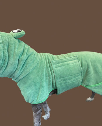 Froggy-Dog-Bathrobe-7