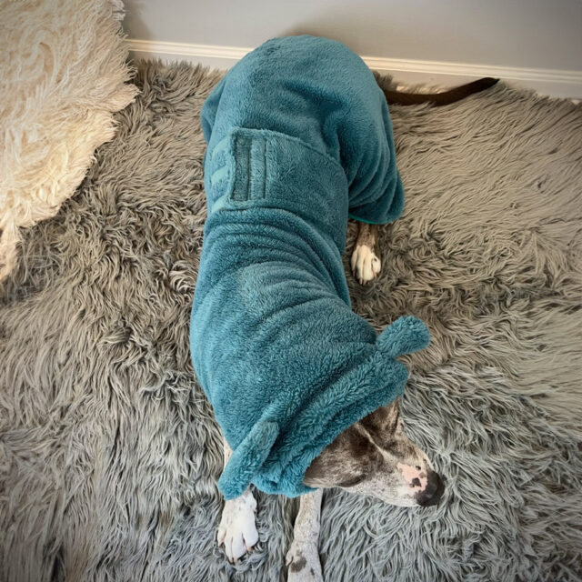 Fuzzy Bear Wrap | Teal - Image 9