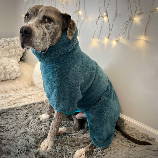 Fuzzy Bear Wrap | Teal - Image 5