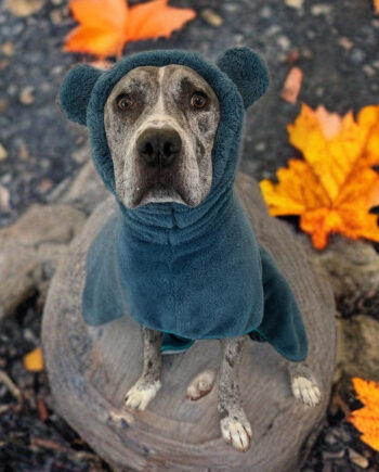 Fuzzy-Bear-Wrap-_-Teal-7