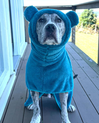 Fuzzy-Bear-Wrap-_-Teal-9