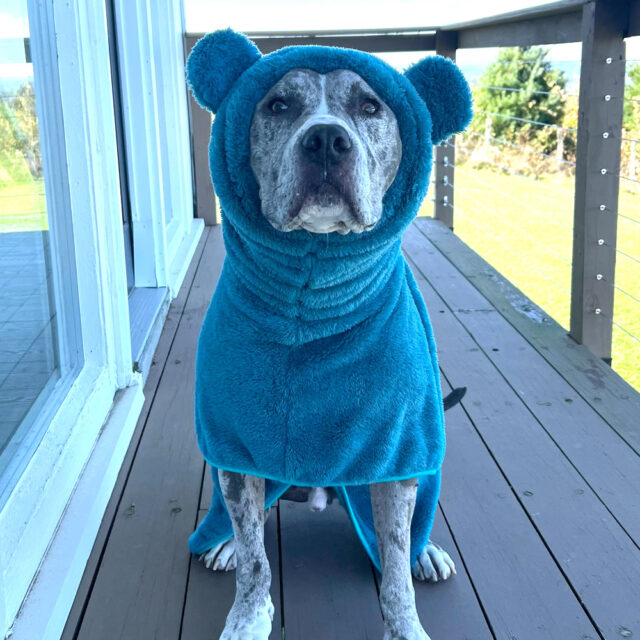 Fuzzy Bear Wrap | Teal - Image 7