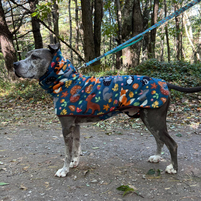 Forest Friends Fleece Dog Wrap - Image 2