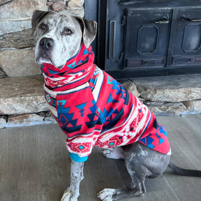 Hidden Lake Fleece Dog Sweater - Image 5
