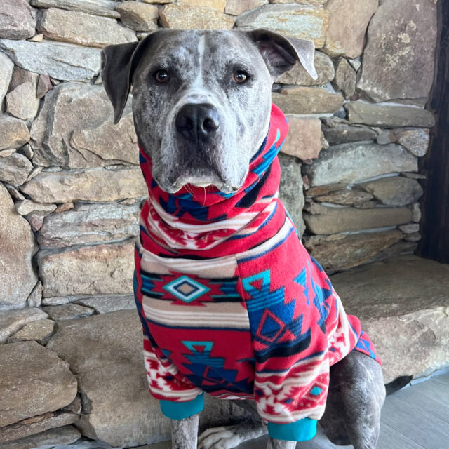 Hidden Lake Fleece Dog Sweater - Image 2