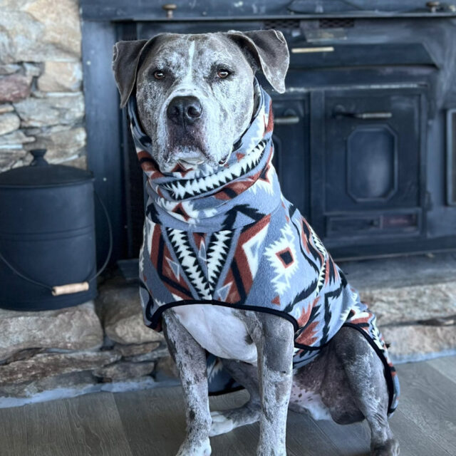 Moon Valley Fleece Dog Wrap - Image 2