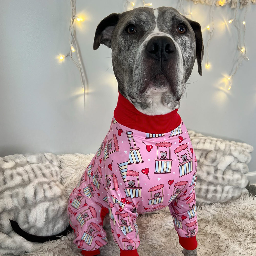 Pibble Kisses Lightweight Dog Pajama - Image 2