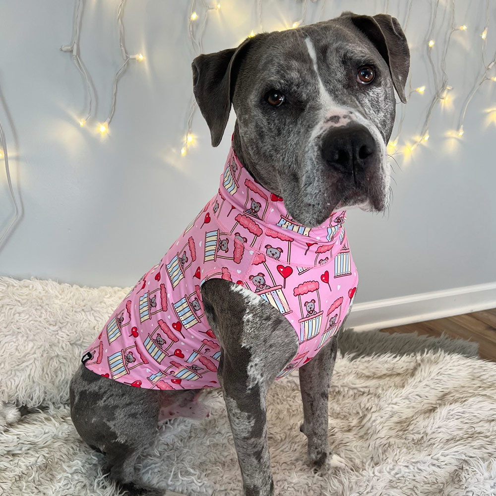 Pibble Kisses Lightweight Dog Vest - Image 2