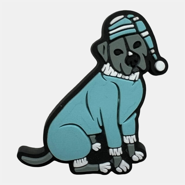 Pittie Shoe Charm