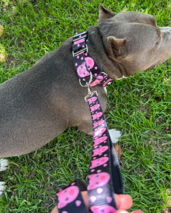 Piggy-Padded-Double-Handle-Leash-1