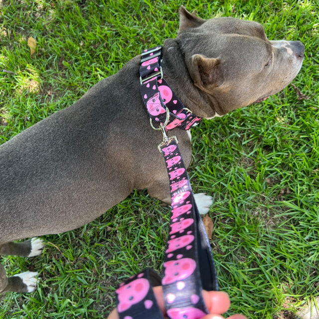 Piggy Padded Double Handle Leash - Image 7