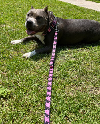 Piggy-Padded-Double-Handle-Leash-2