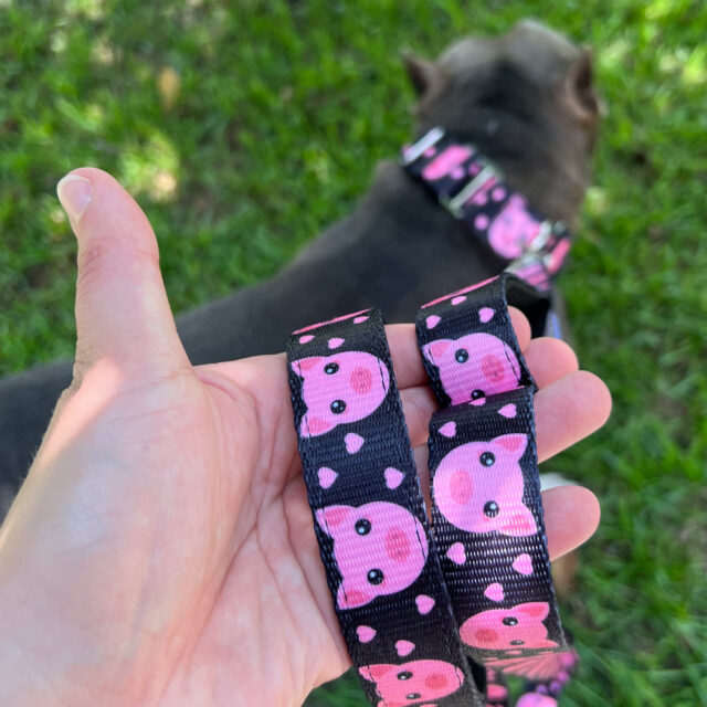 Piggy Padded Double Handle Leash - Image 3