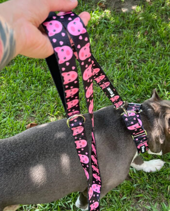 Piggy-Padded-Double-Handle-Leash-4