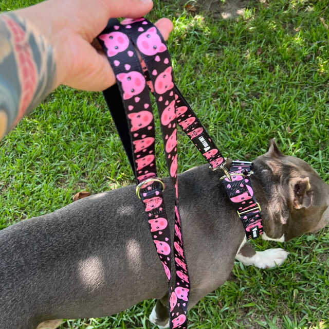 Piggy Padded Double Handle Leash - Image 2