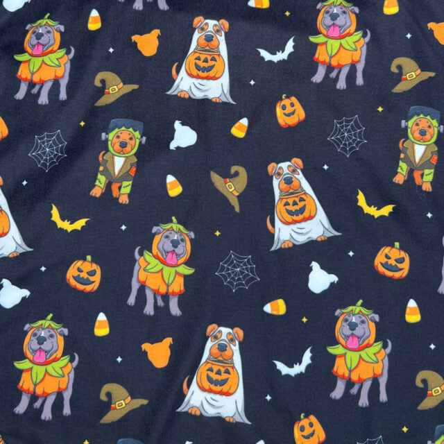Trick Or Treats Lightweight Dog Vest - Image 2