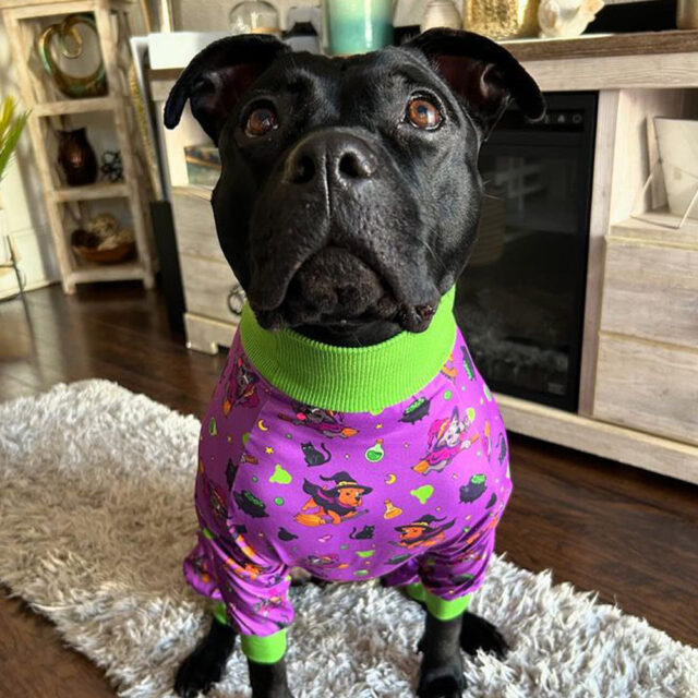 Witchy Magic Lightweight Dog Pajamas - Image 2
