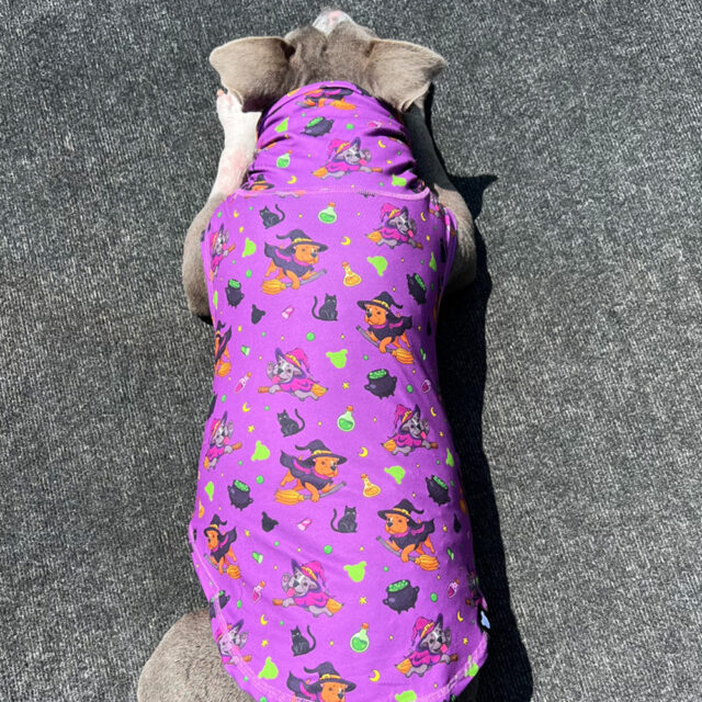 Witchy Magic Lightweight Dog Vest - Image 8