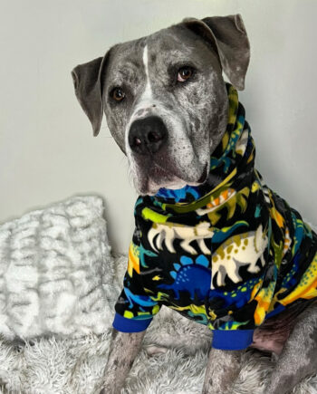 Dino-Roar-Fleece-Dog-Sweater-1