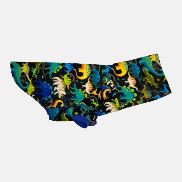 Dino Roar Fleece Dog Sweater