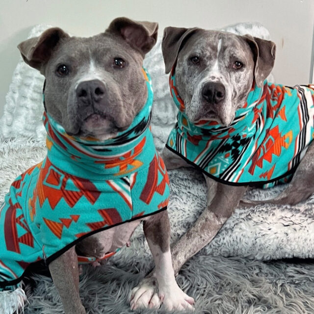 OOPSIE | River Run Fleece Dog Wrap - Image 6