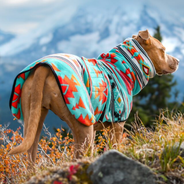 OOPSIE | River Run Fleece Dog Wrap - Image 4