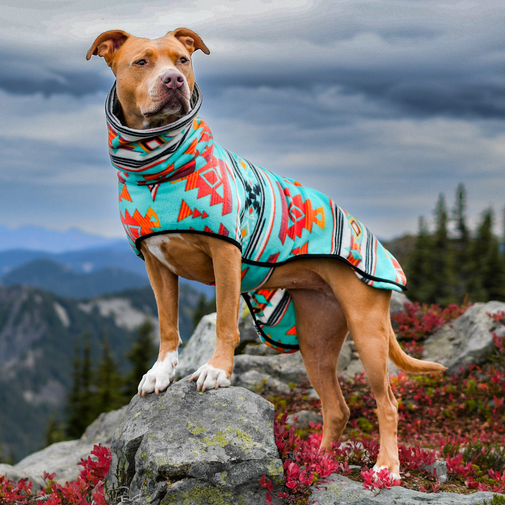 River Run Fleece Dog Wrap - Image 3