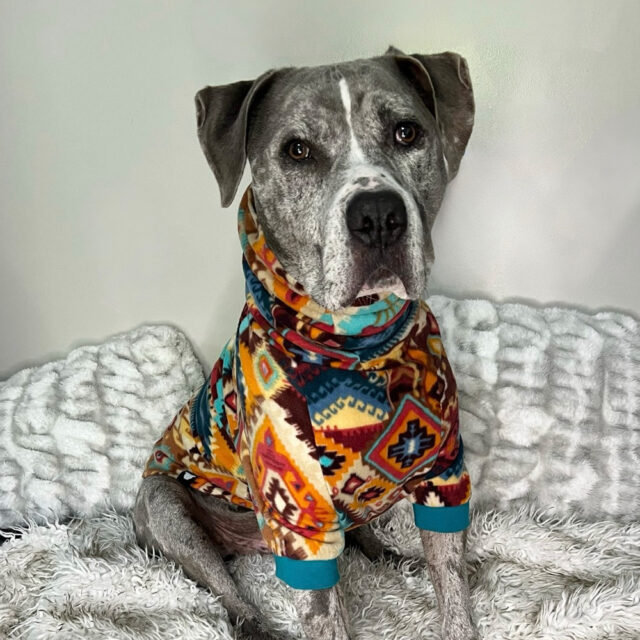 Sedona Sunset Fleece Dog Sweater - Image 2
