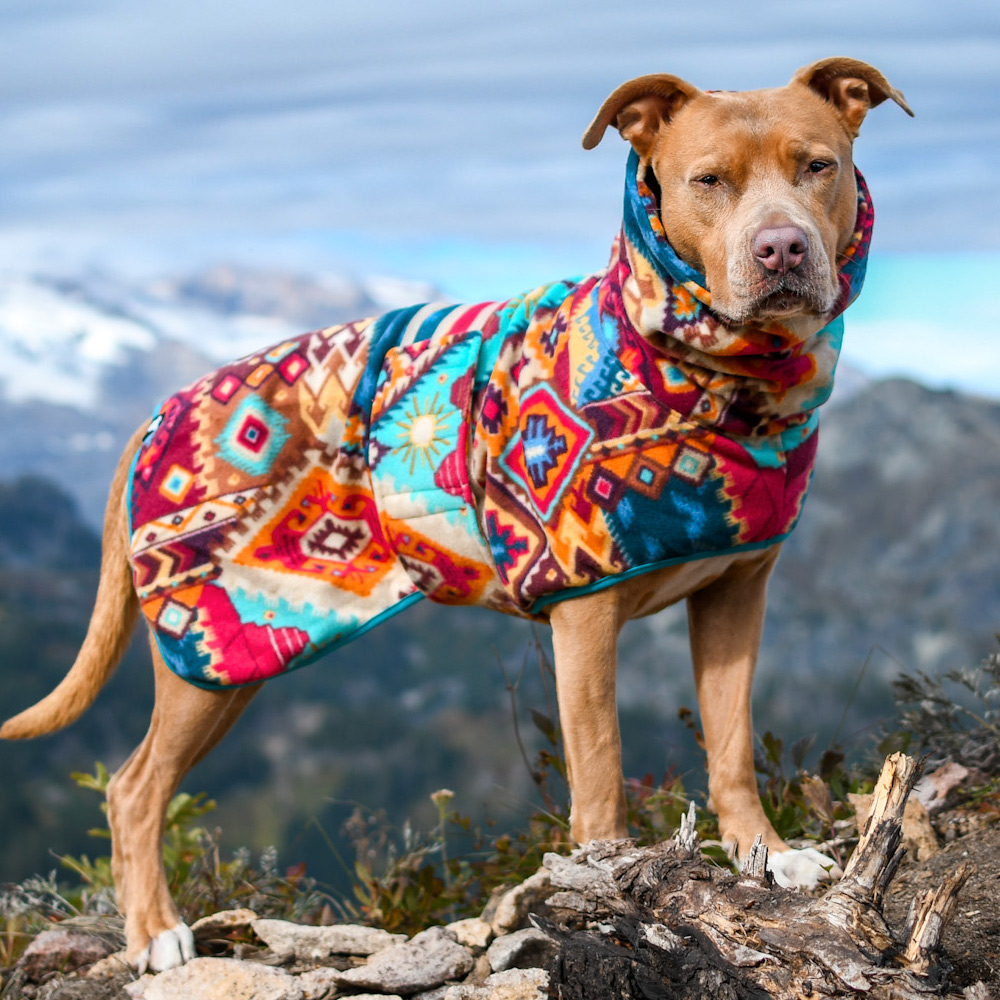 Sedona Sunset Fleece Dog Wrap - Image 2