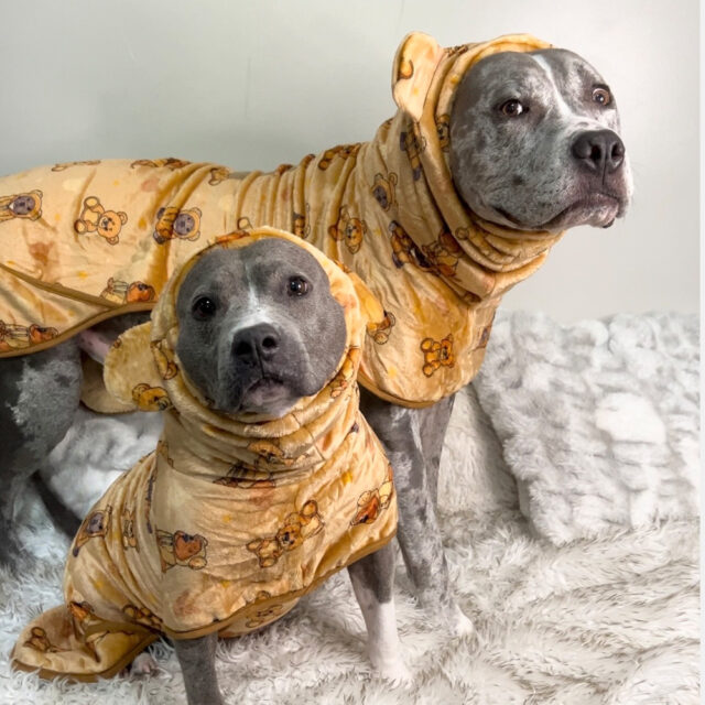 Teddy Blanket Robe - Image 2