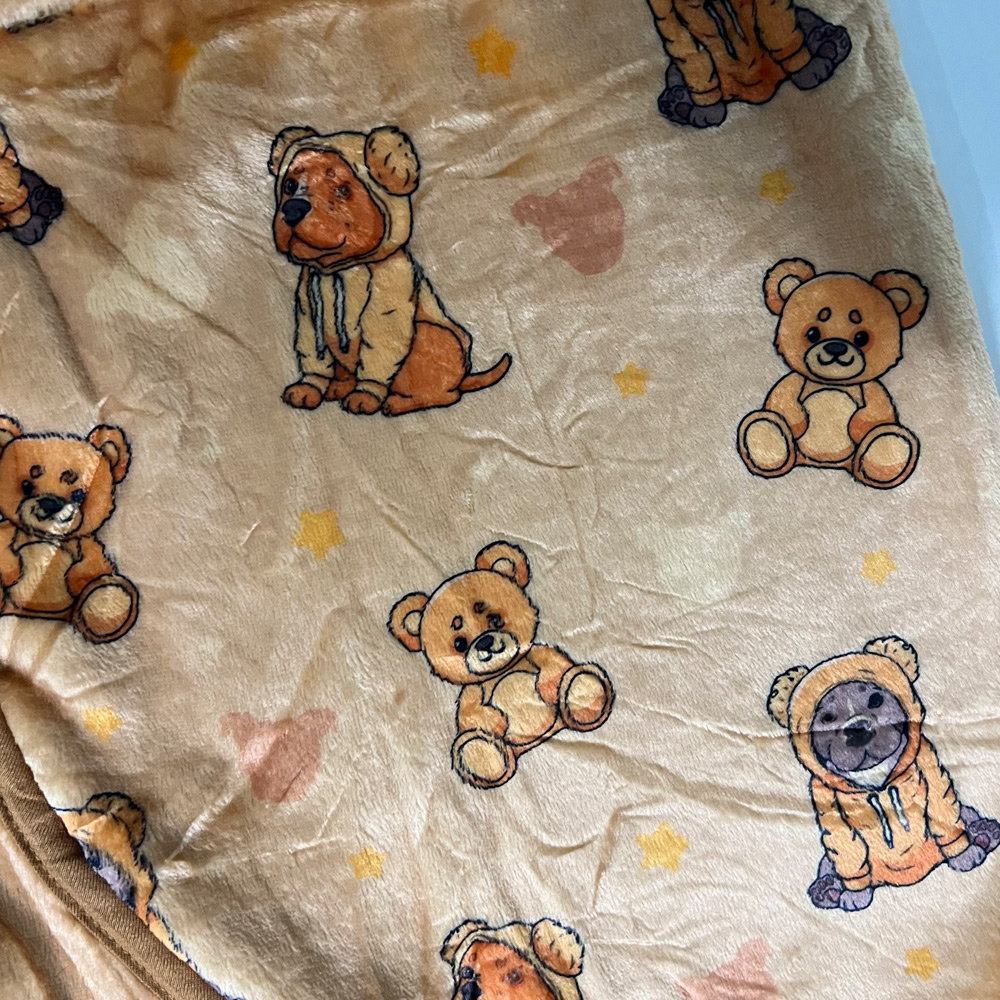 Teddy Blanket Wrap - Image 4