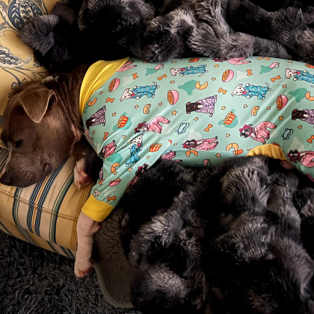 We Three Pitties Party Collab Dog Pajama - Image 7