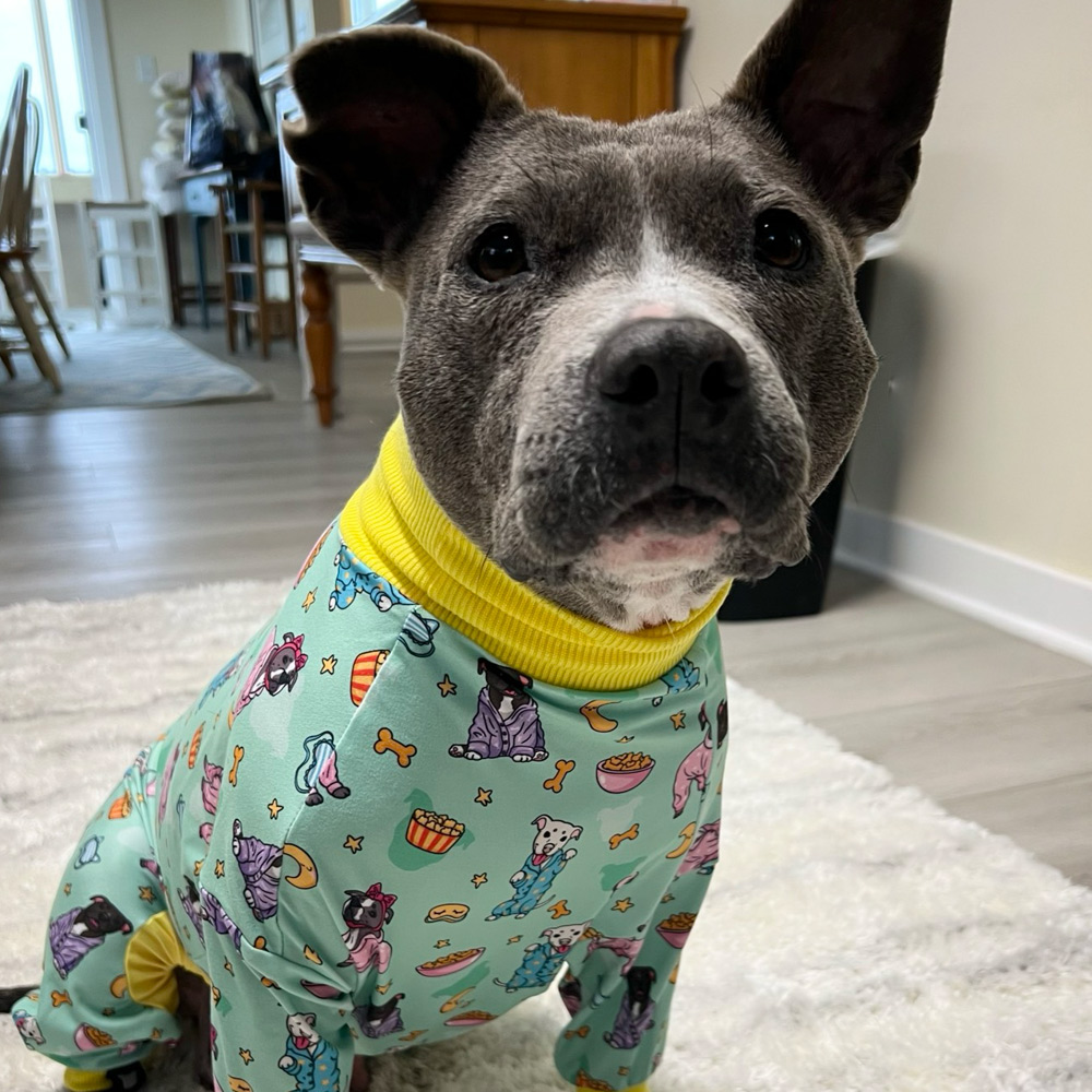 We Three Pitties Party Collab Dog Pajama - Image 2