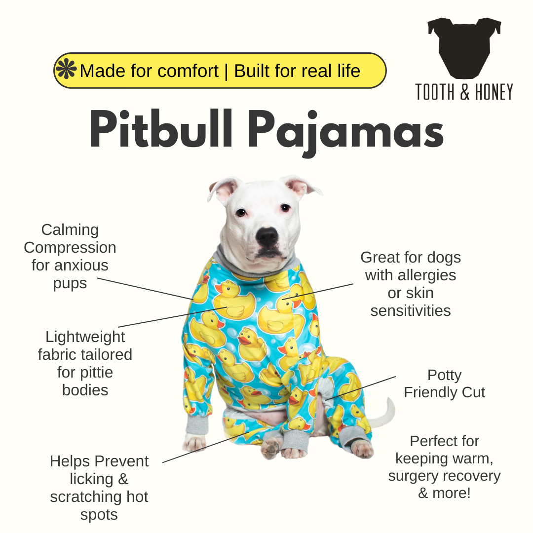 Teddy Lightweight Dog Pajama - Image 3