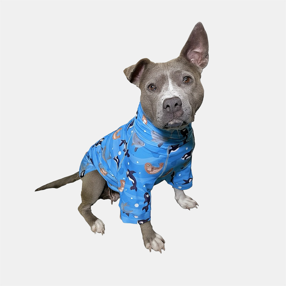 Ocean Friends UV Sunshirt - Image 6
