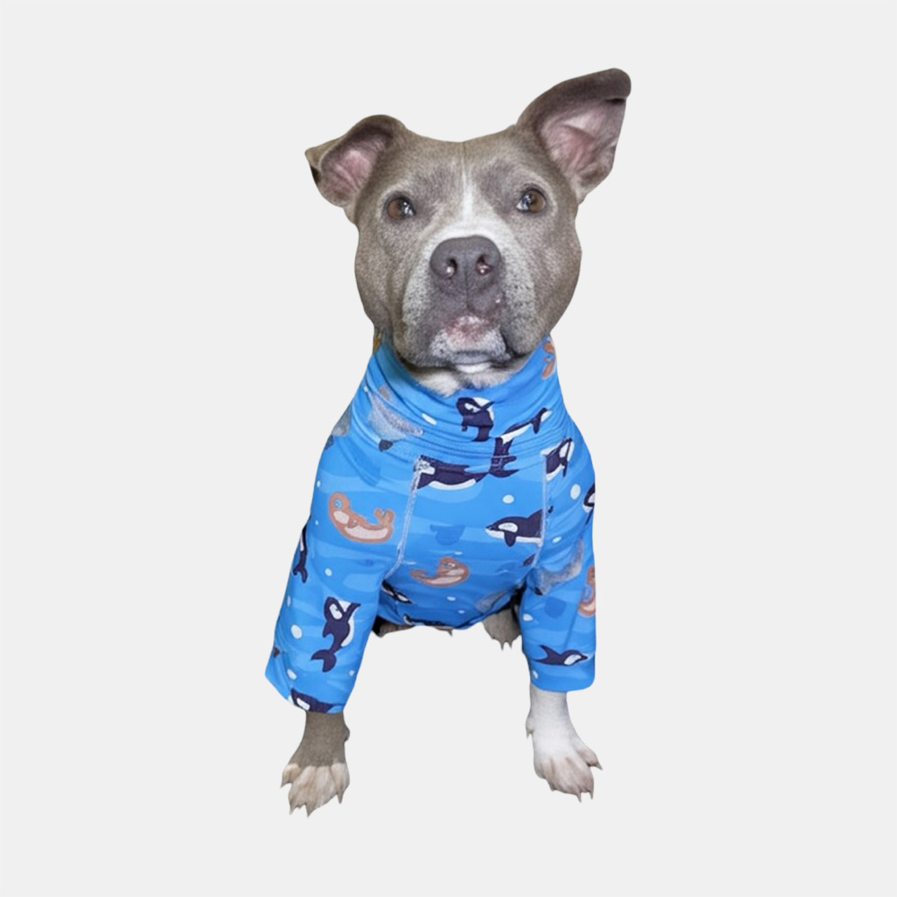 Ocean Friends UV Sunshirt - Image 4