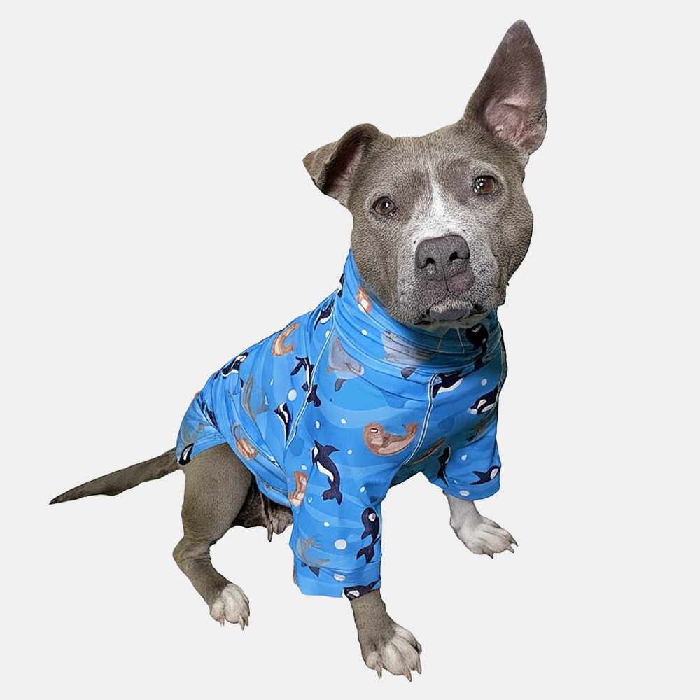 Ocean Friends UV Sunshirt