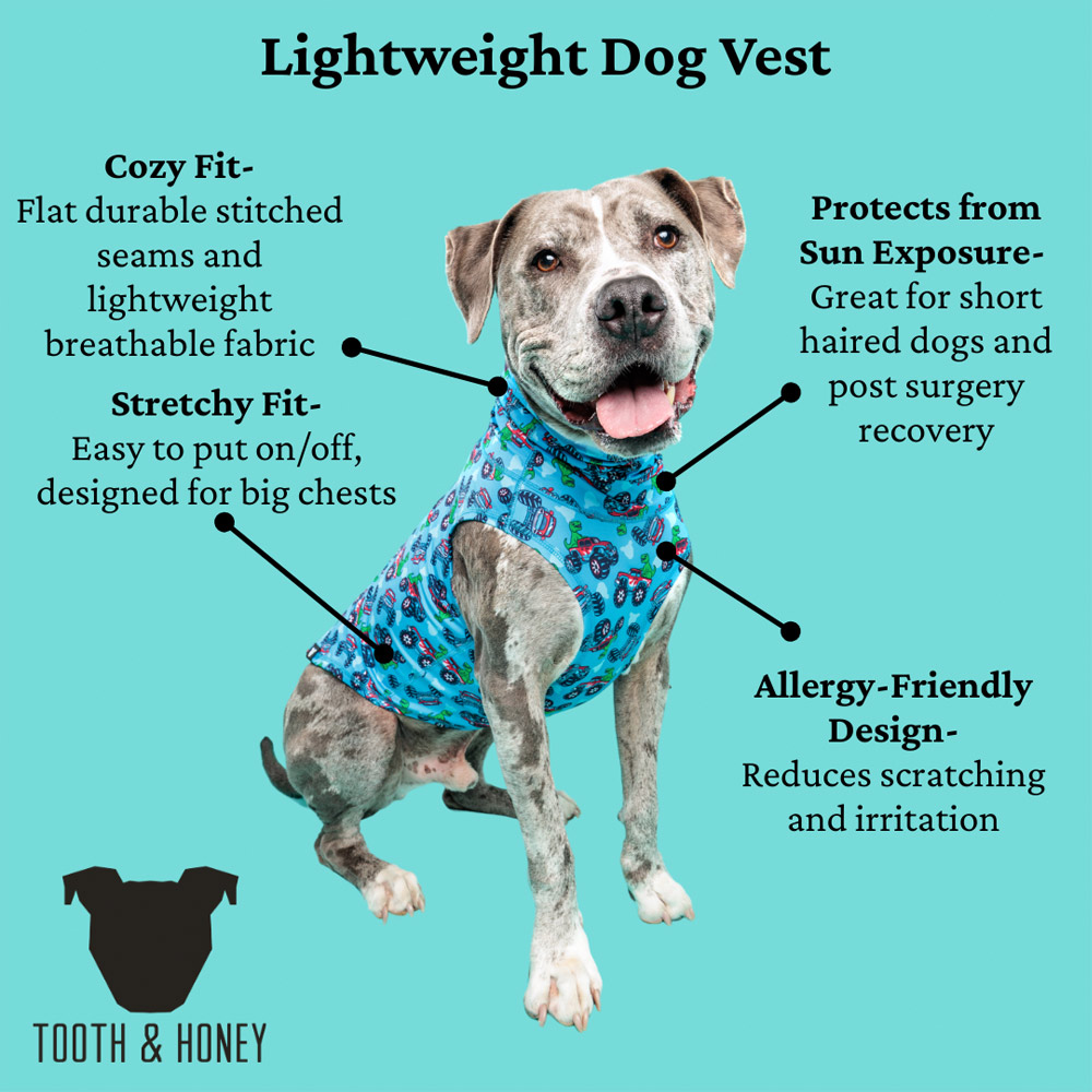 Monster Truck Dino Lightweight Dog Vest - Image 3