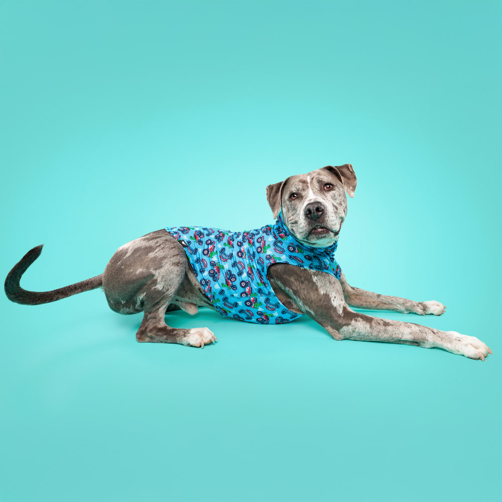 Monster Truck Dino Lightweight Dog Vest - Image 5