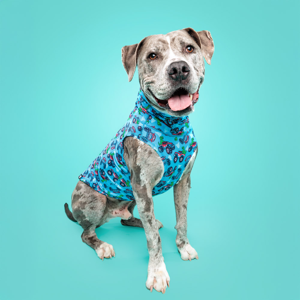 Monster Truck Dino Lightweight Dog Vest - Image 2