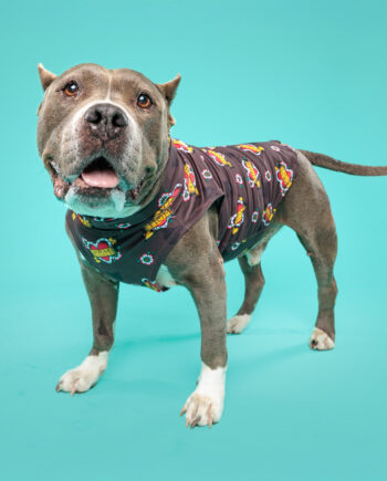 _Tattoo-Heart-MOM-lightweight-Dog-Vest-7