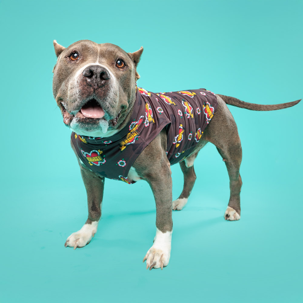 Tattoo Heart MOM lightweight Dog Vest - Image 2