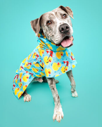 11.27.22Rainy-Ducks-Lightweight-Raincoat-1