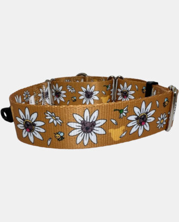 Daisy-Pittie-1.5'-Martingale-Collar-1